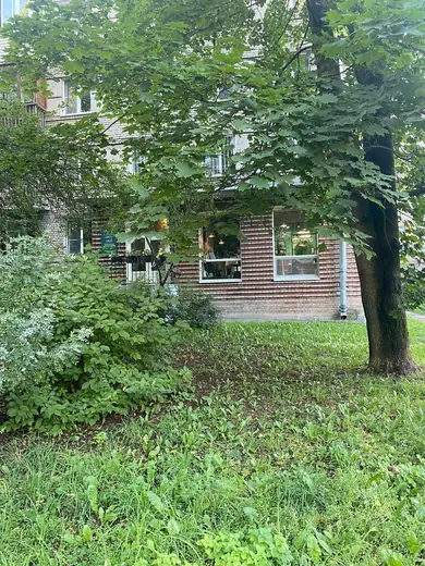 Деревья во дворе салона
